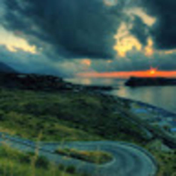 Meet your Posher, Antonia - Picture 1 of 1